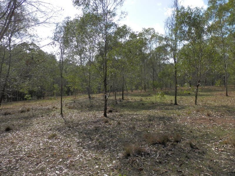 Lot 21 Office Lane, WANORA QLD 4306, Wanora - Thumbnail 8