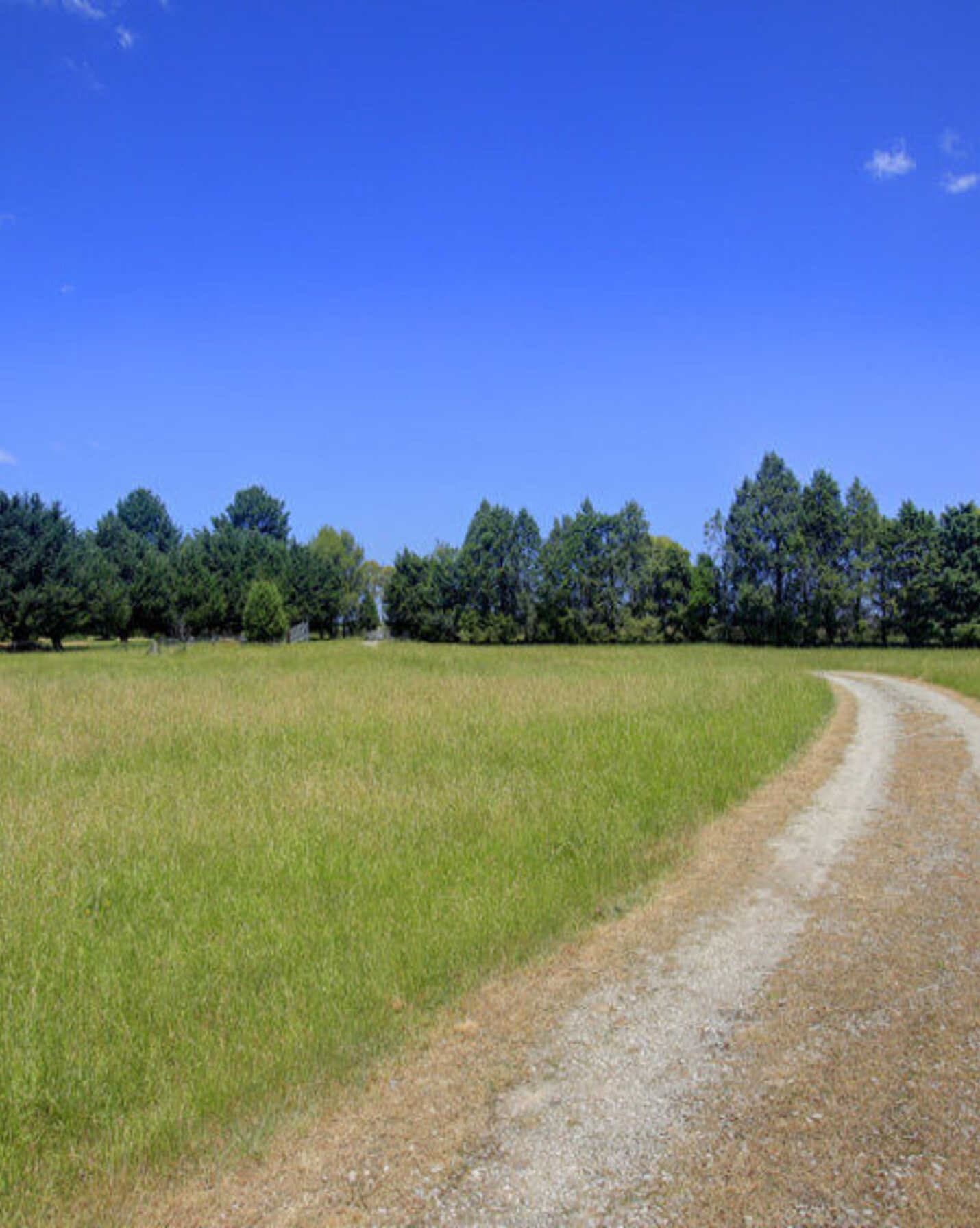 480 Golden Vale Road Sutton Forest, Forest - Thumbnail 2
