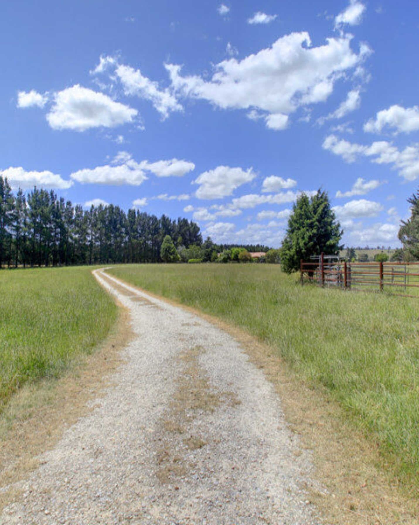 480 Golden Vale Road Sutton Forest, Forest - Thumbnail 5