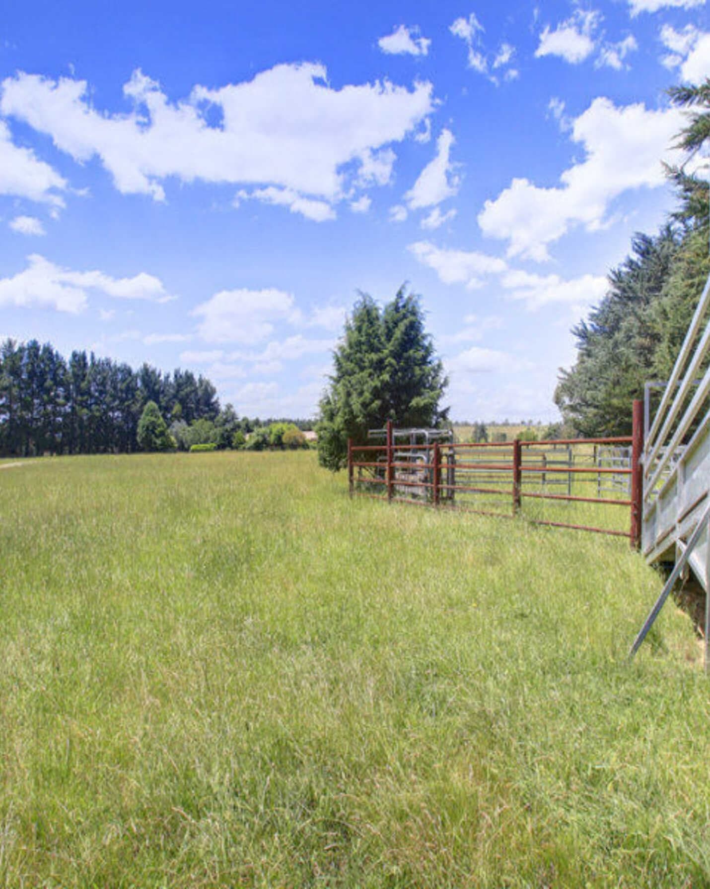 480 Golden Vale Road Sutton Forest, Forest - Thumbnail 6