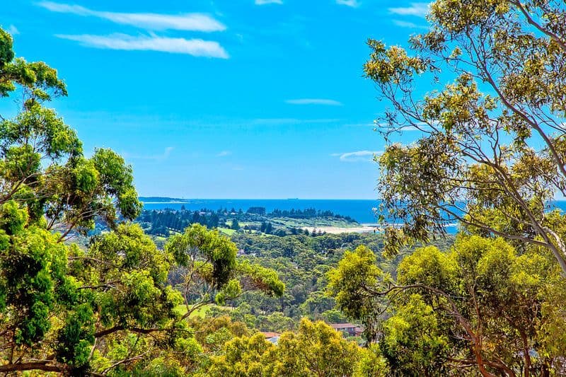 64 Berne Street, BATEAU BAY NSW 2261, Bateau Bay - Thumbnail 5