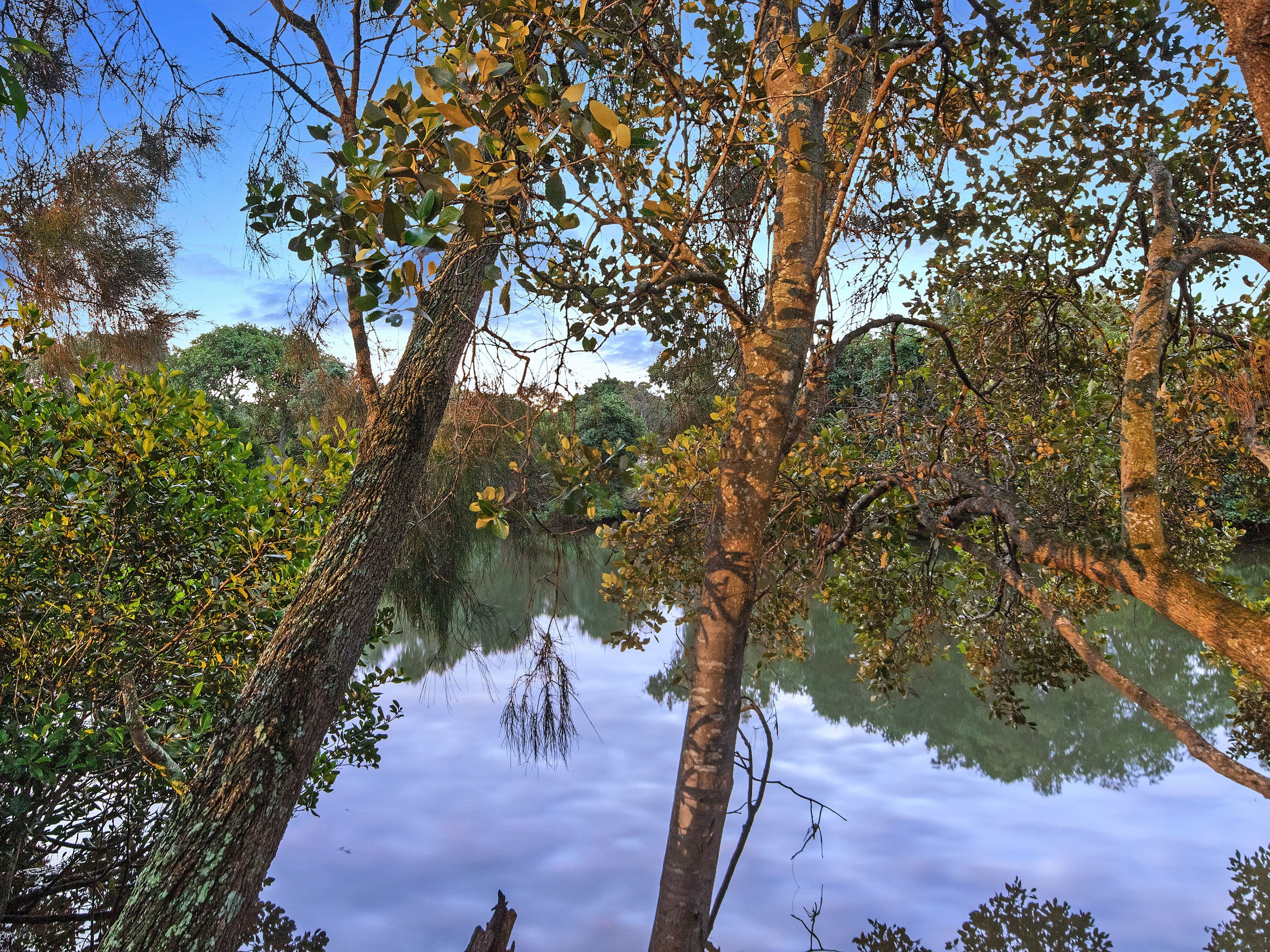 131 The Peninsula, Helensvale QLD 4212, Helensvale - Thumbnail 6