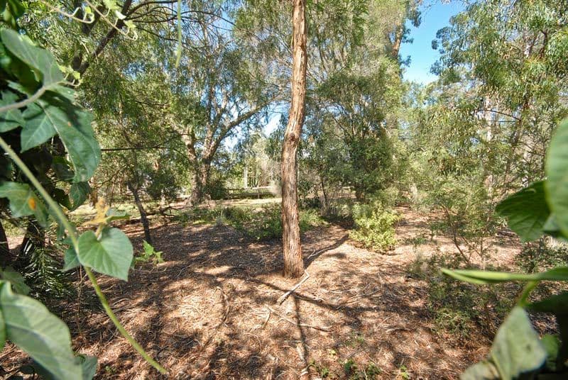 3 May Court, MITCHAM VIC 3132, Mitcham - Thumbnail 8
