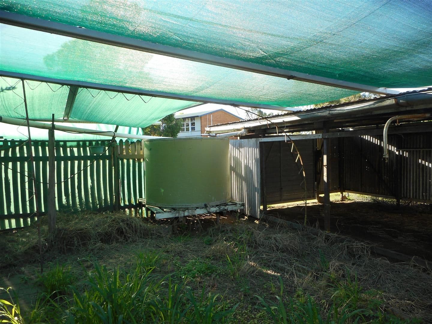 28 Normanby Street, Dingo QLD 4702, Dingo - Thumbnail 8