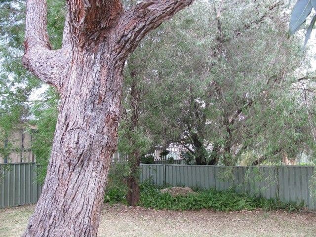 4 Clarke Street, BROULEE NSW 2537, Broulee - Thumbnail 6