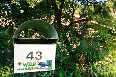 43 Castle Circuit, UMINA BEACH NSW 2257, Umina Beach - Thumbnail 6