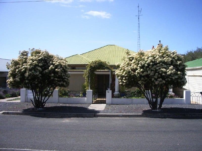114 West Terrace, BORDERTOWN SA 5268, Bordertown - Thumbnail 3