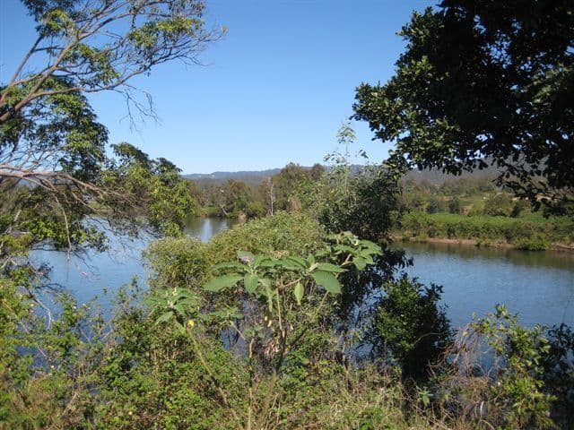 47 Graywillow Boulevard, OXENFORD QLD 4210, Oxenford - Thumbnail 5
