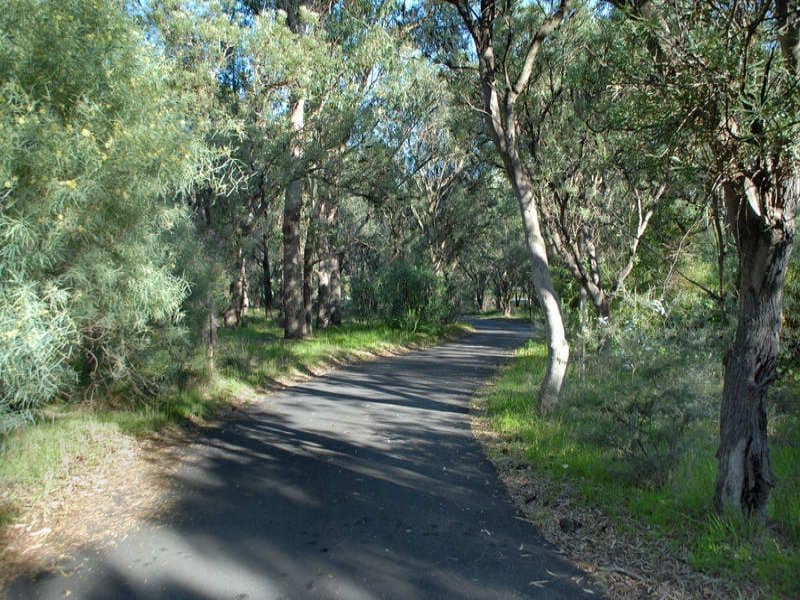 100 WANDOO Drive, Baldivis WA 6171, Baldivis - Thumbnail 7