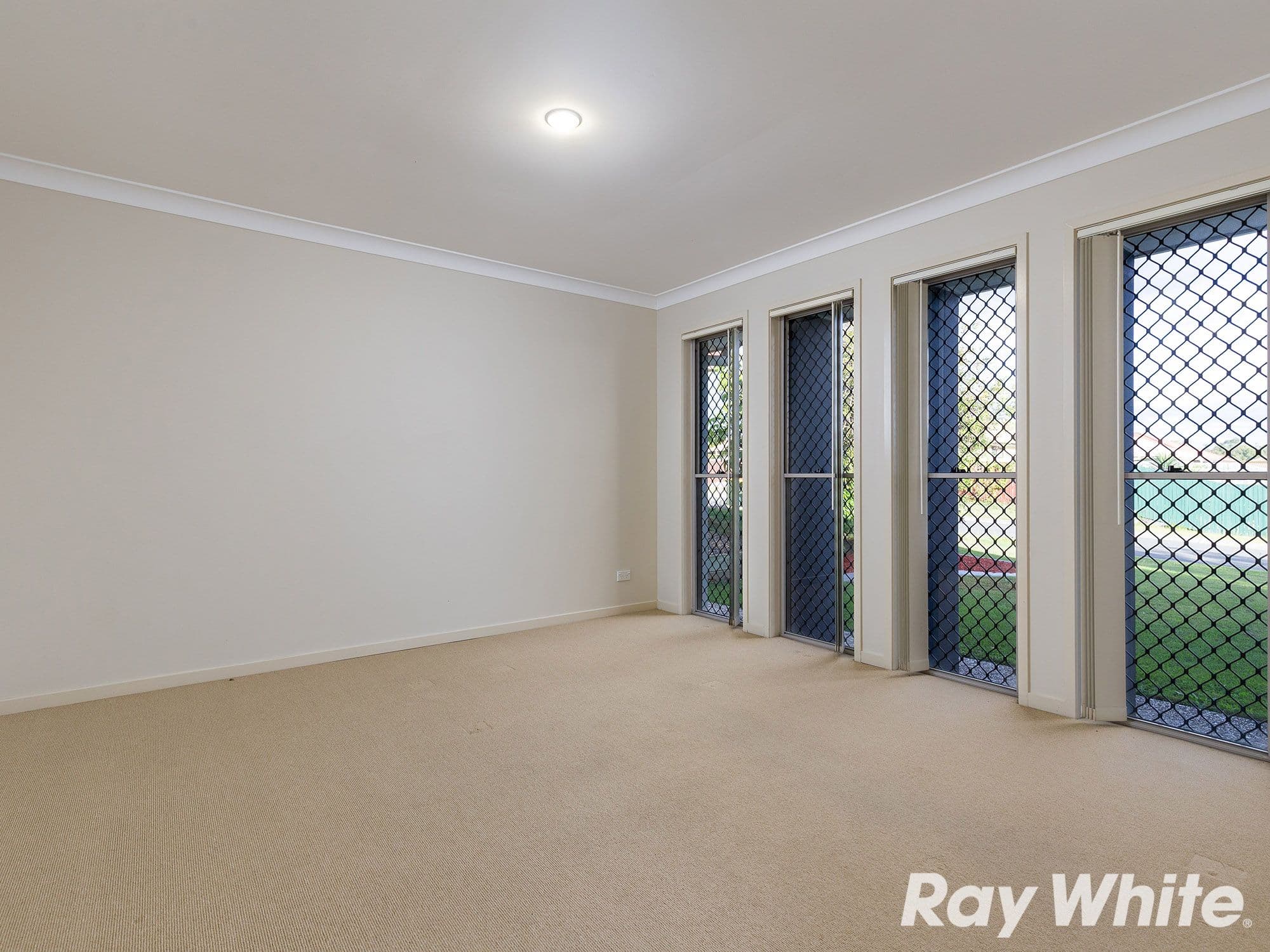 22 Webb Street, Calamvale QLD 4116, Calamvale - Thumbnail 2