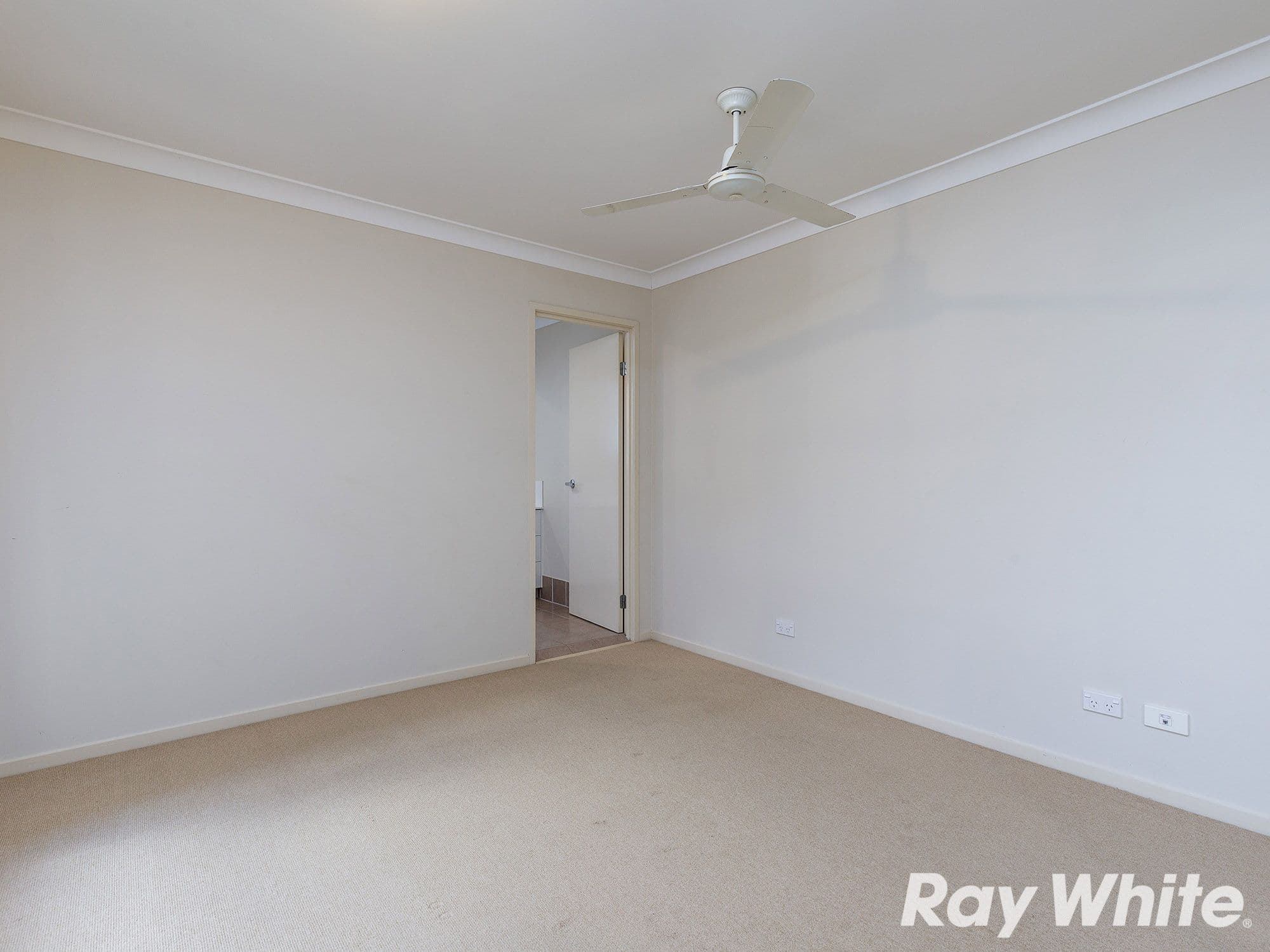 22 Webb Street, Calamvale QLD 4116, Calamvale - Thumbnail 7