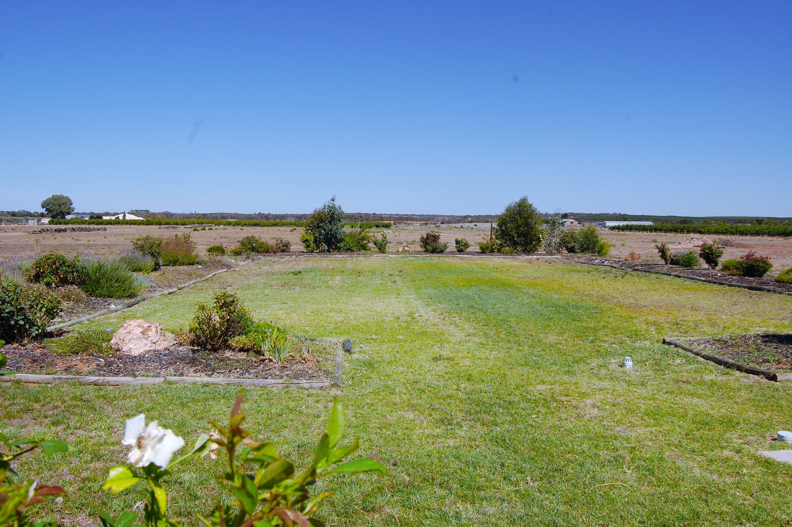 660 Chowilla Street, Renmark SA 5341, Renmark West - Thumbnail 6