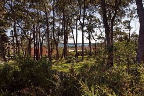31 The Breakwater, CORLETTE NSW 2315, Corlette - Thumbnail 2