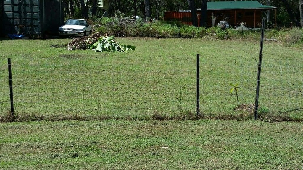 55 Darwallah Avenue, Russell Island QLD 4184, Russell Island - Thumbnail 2