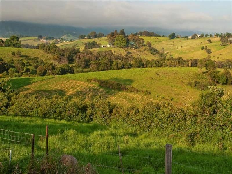 121 Bland Street, KIAMA NSW 2533, Kiama - Thumbnail 5