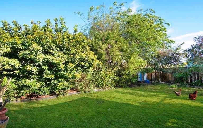 49 Twelfth Avenue, Kedron QLD 4031, Kedron - Thumbnail 7