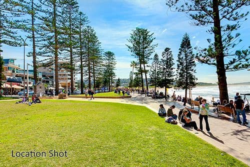 115 Oaks Avenue, DEE WHY NSW 2099, Dee Why - Thumbnail 6