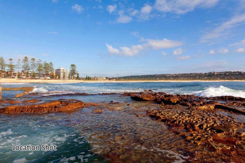 115 Oaks Avenue, DEE WHY NSW 2099, Dee Why - Thumbnail 7