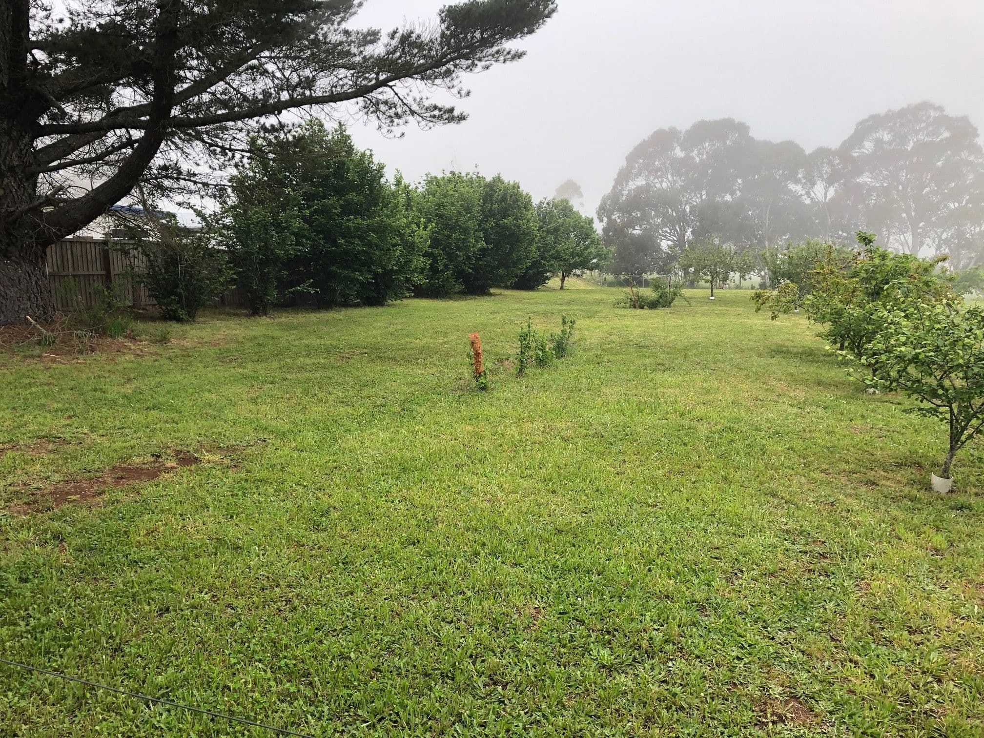 3 Ebor Street, Ebor NSW 2453, Ebor - Image 1
