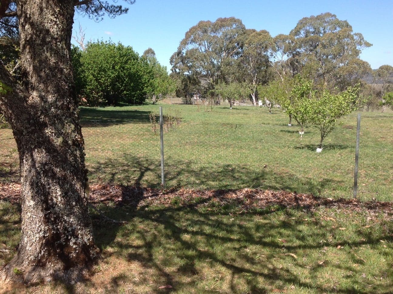 3 Ebor Street, Ebor NSW 2453, Ebor - Thumbnail 3
