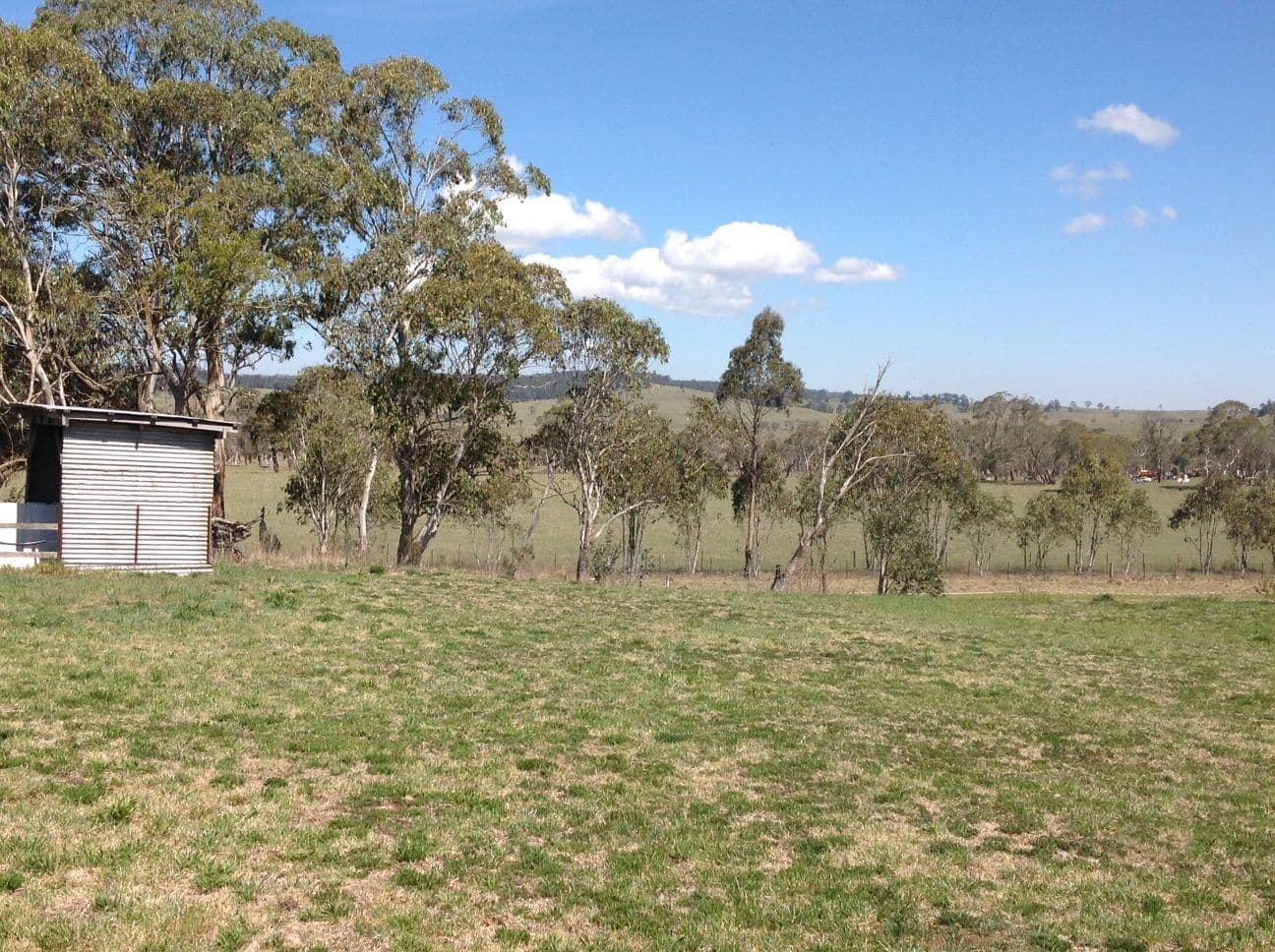 3 Ebor Street, Ebor NSW 2453, Ebor - Thumbnail 4