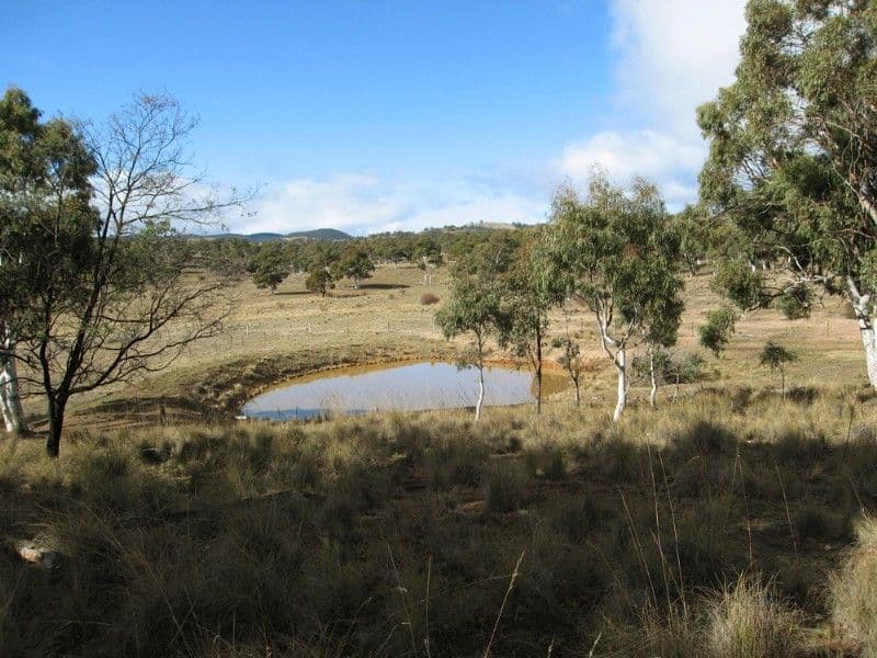 Lot 1 Rossi Road, HOSKINSTOWN NSW 2621, Hoskinstown - Thumbnail 2