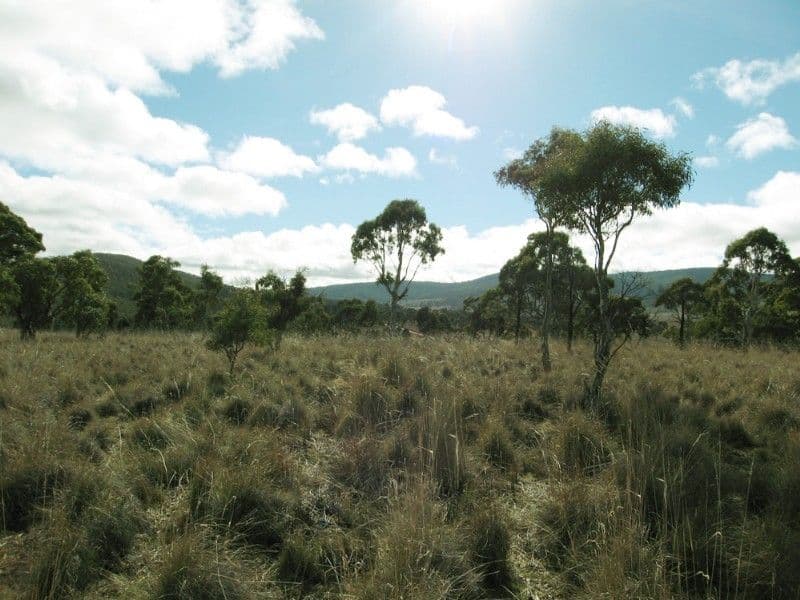 Lot 1 Rossi Road, HOSKINSTOWN NSW 2621, Hoskinstown - Thumbnail 3