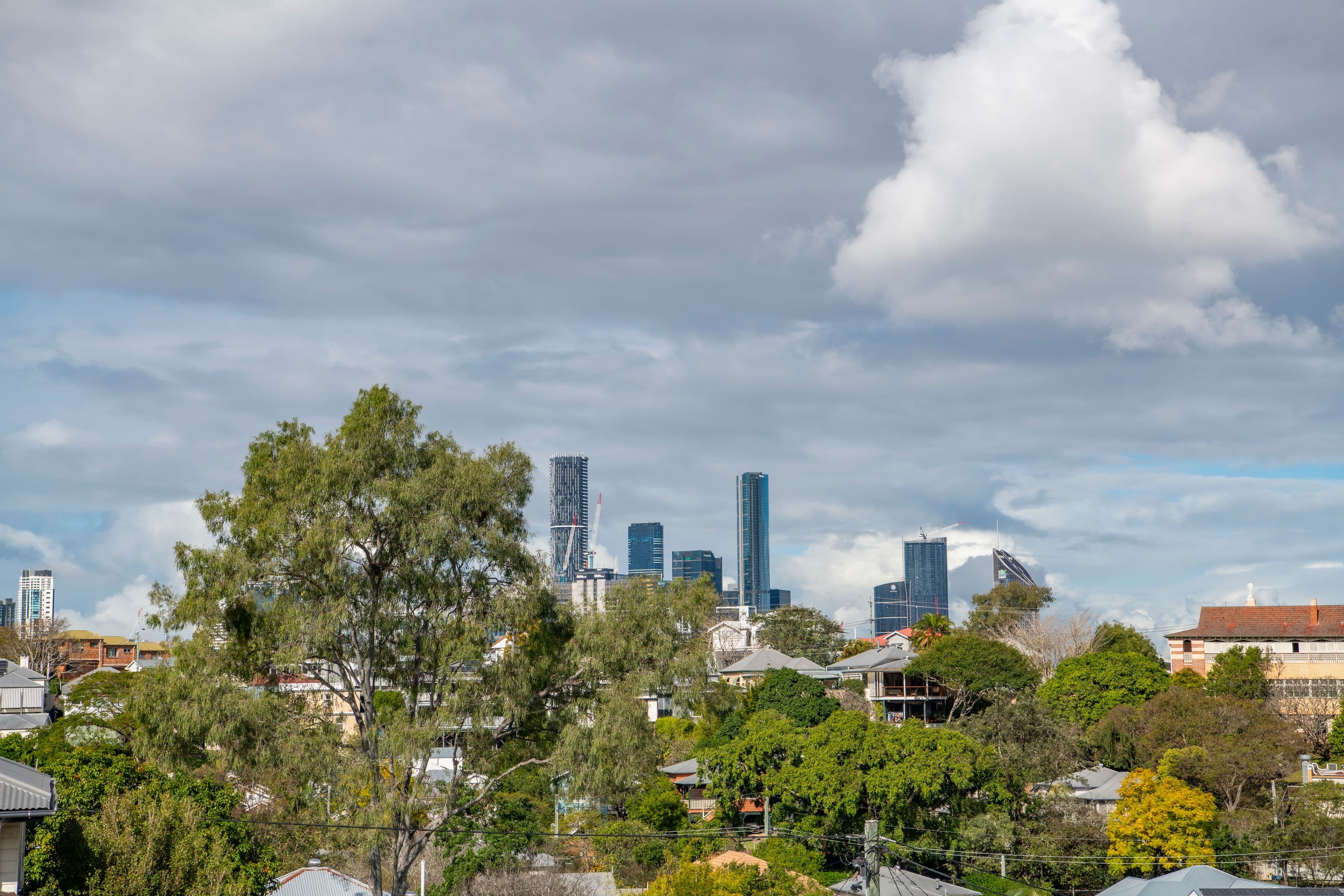 15 Annie Street, Paddington QLD 4064, Paddington - Thumbnail 8