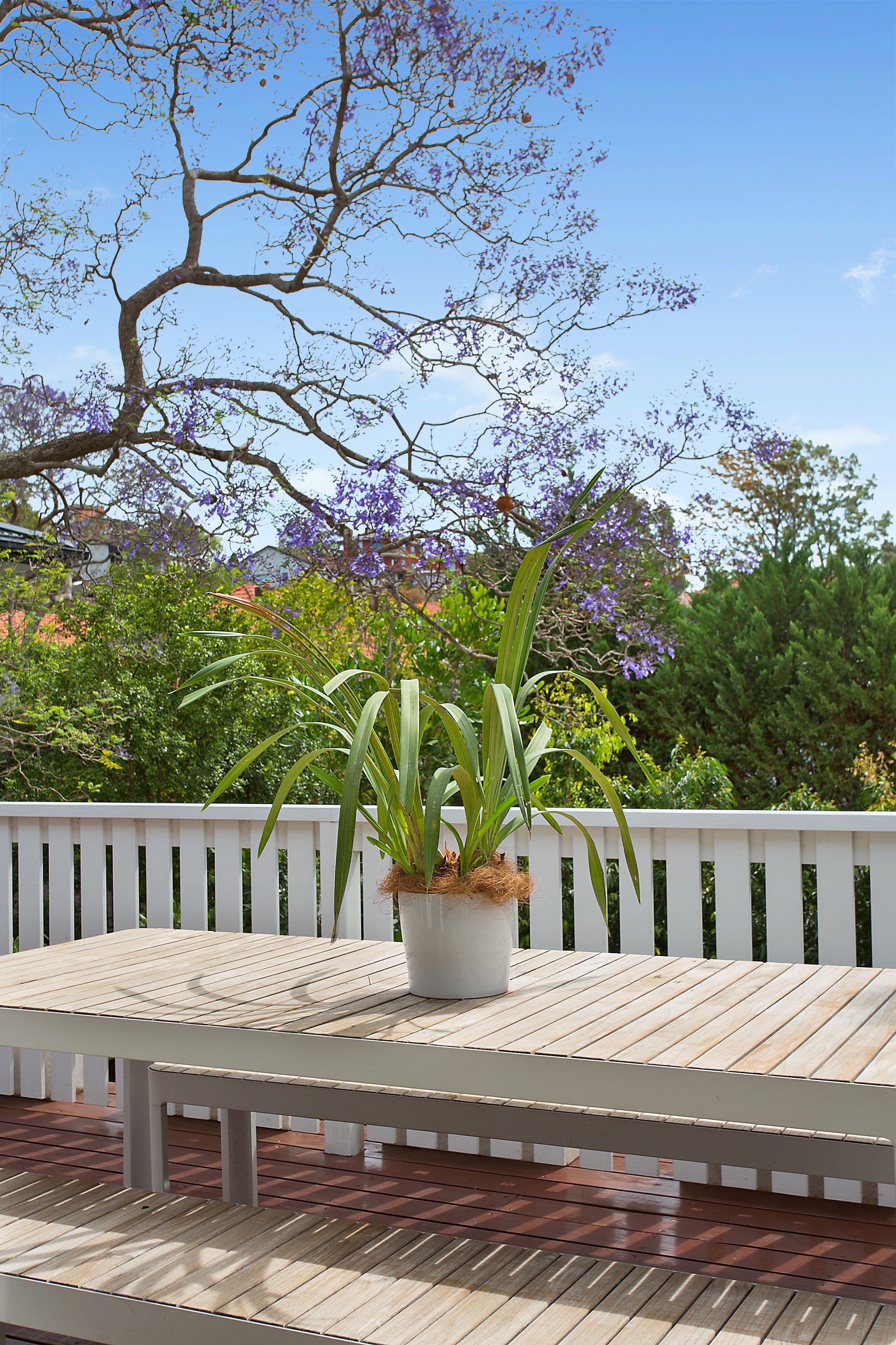 10 Benelong Road, Cremorne NSW 2090, Cremorne - Thumbnail 6