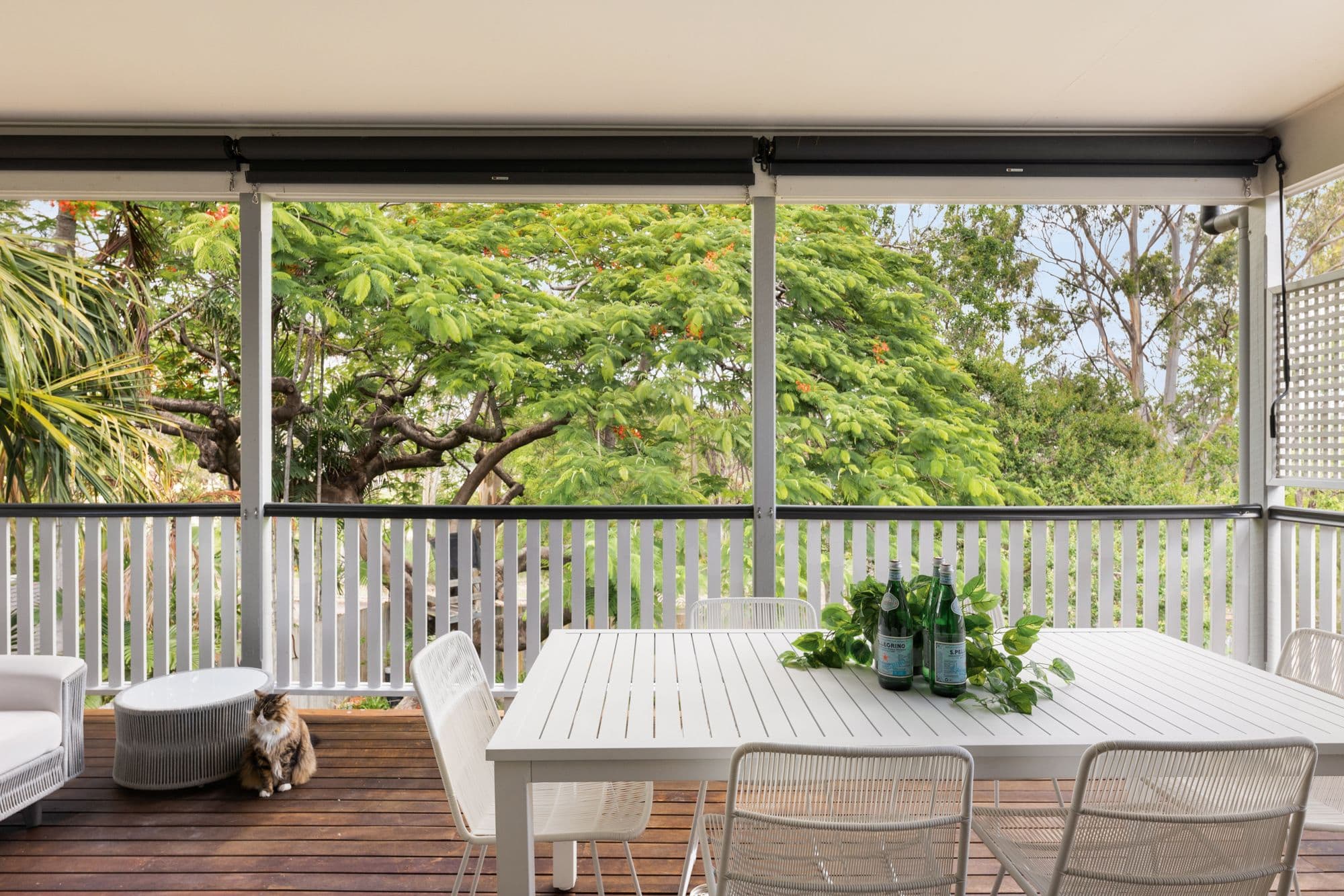 50 Baldwin Street, Bulimba QLD 4171, Bulimba - Thumbnail 8
