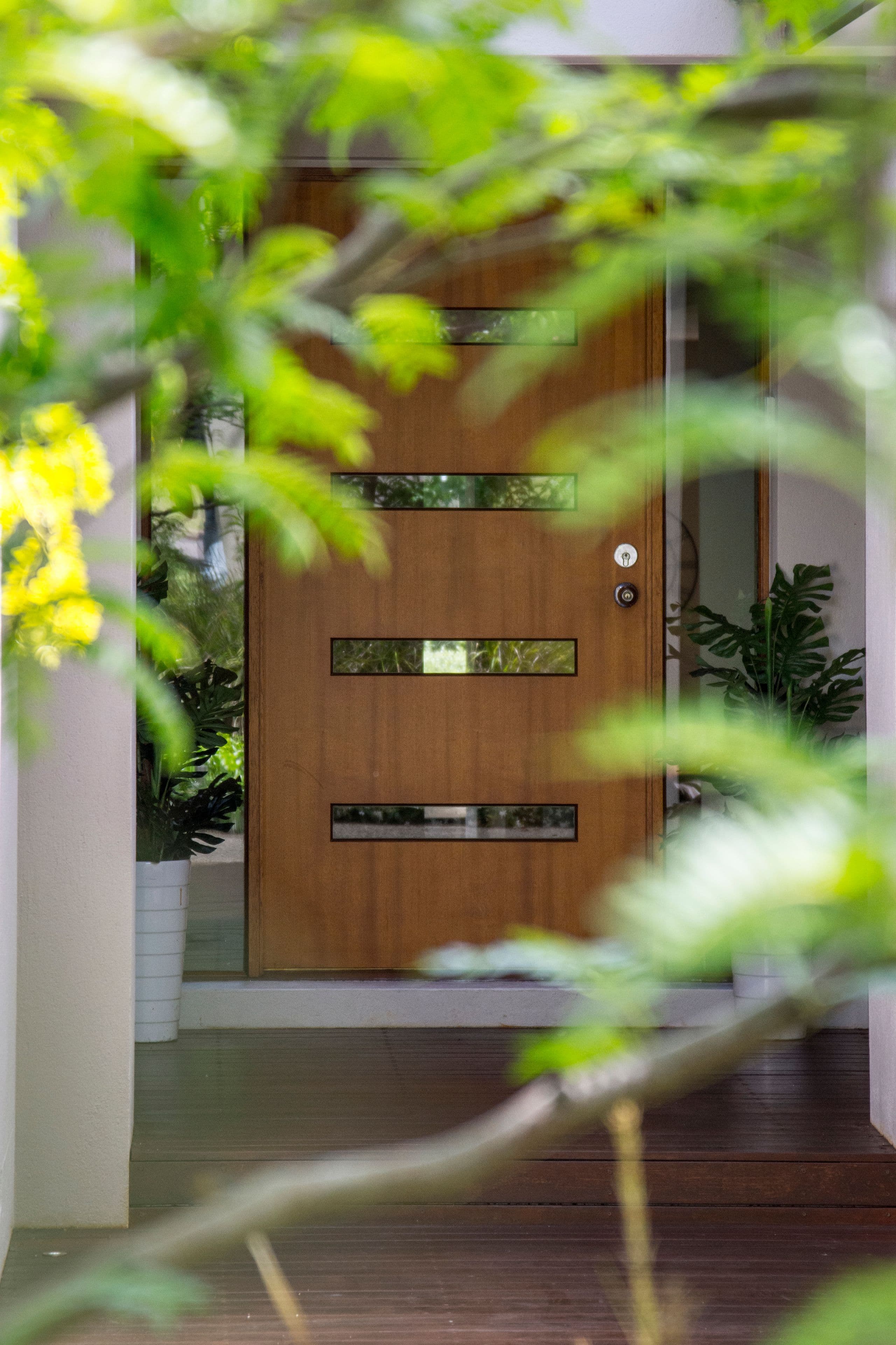 15 Hakea Crescent, O'Connor ACT 2602, O'Connor - Thumbnail 3
