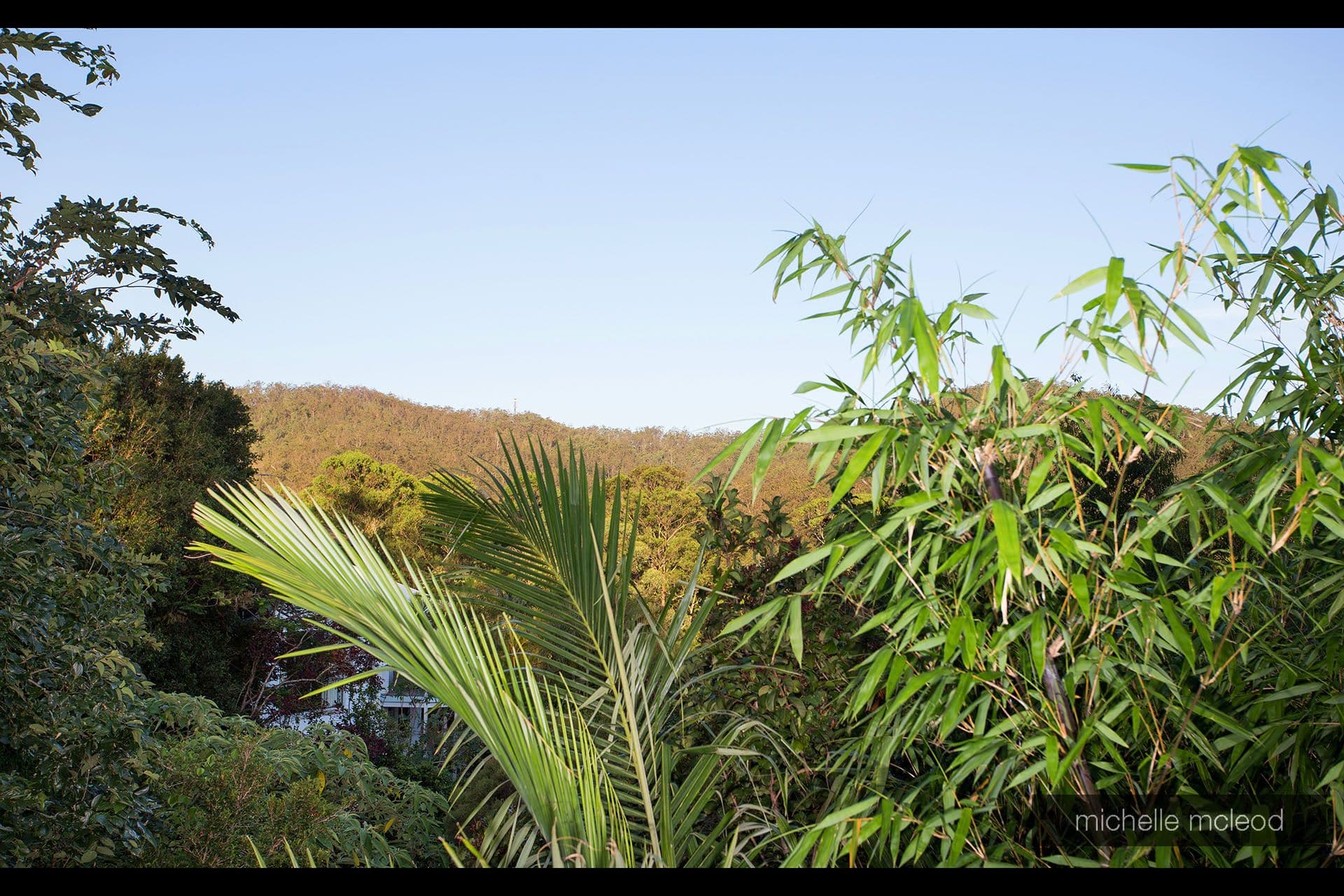 75 Ngeringa Crescent, Chapel Hill QLD 4069, Chapel Hill - Thumbnail 3