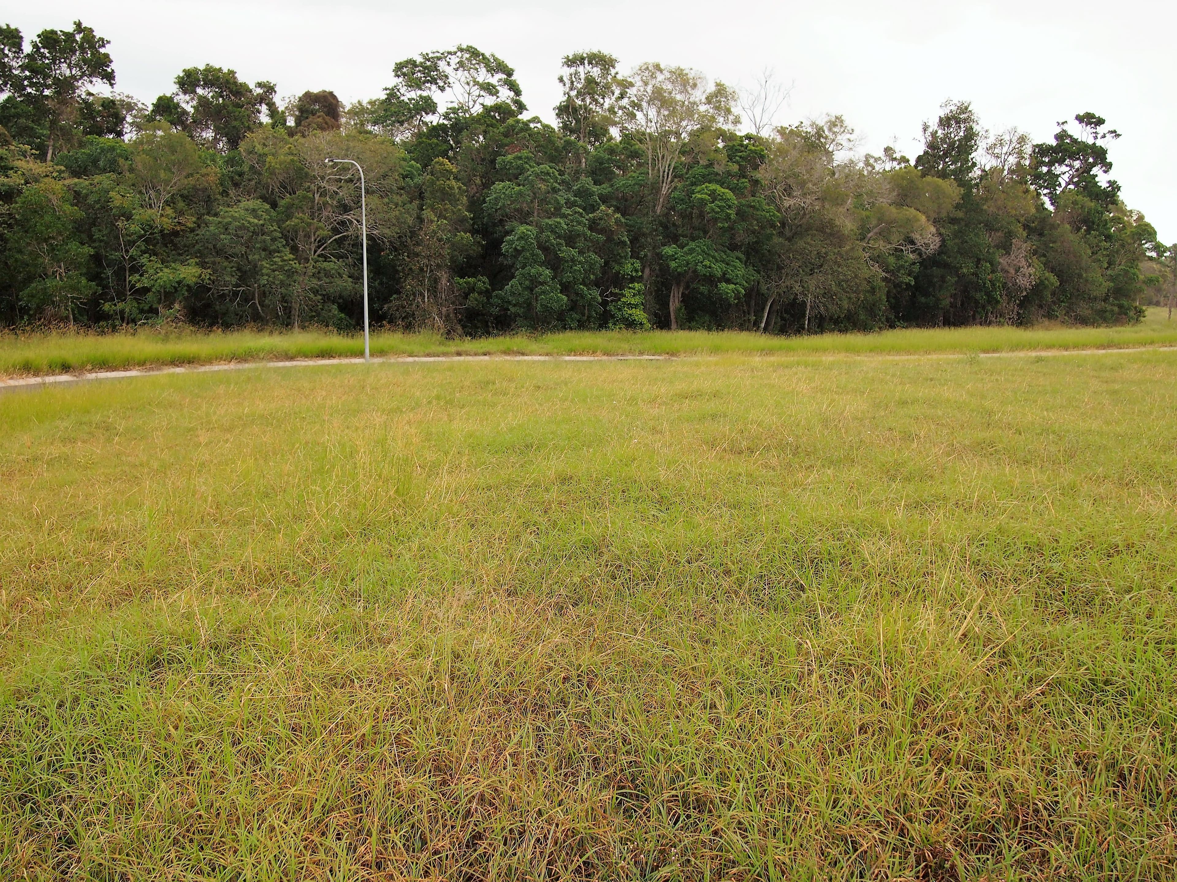 5 Woodgate Avenue, Craignish QLD 4655, Craignish - Thumbnail 3