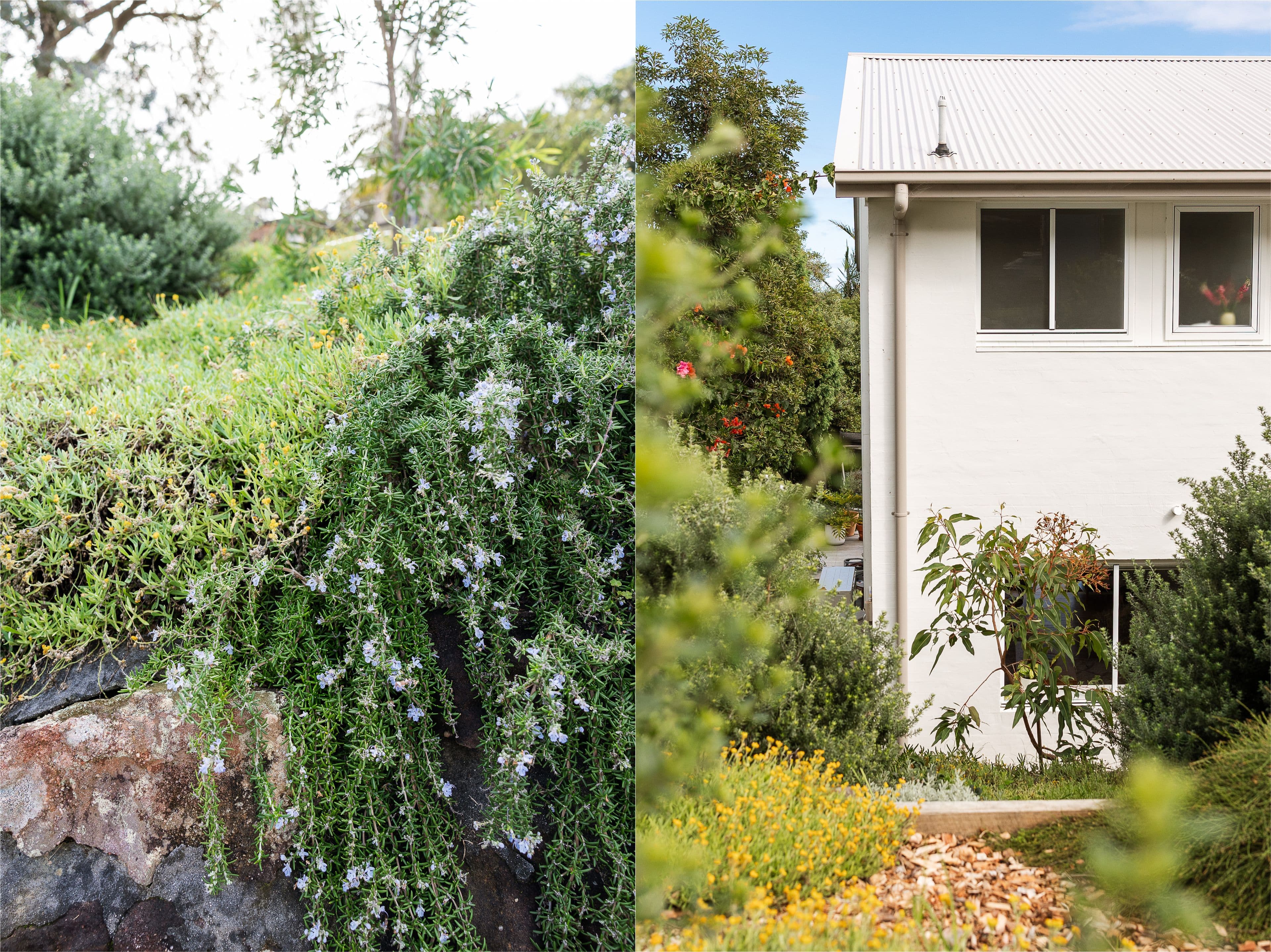 27 Rickard Street, Bateau Bay NSW 2261, Bateau Bay - Thumbnail 3