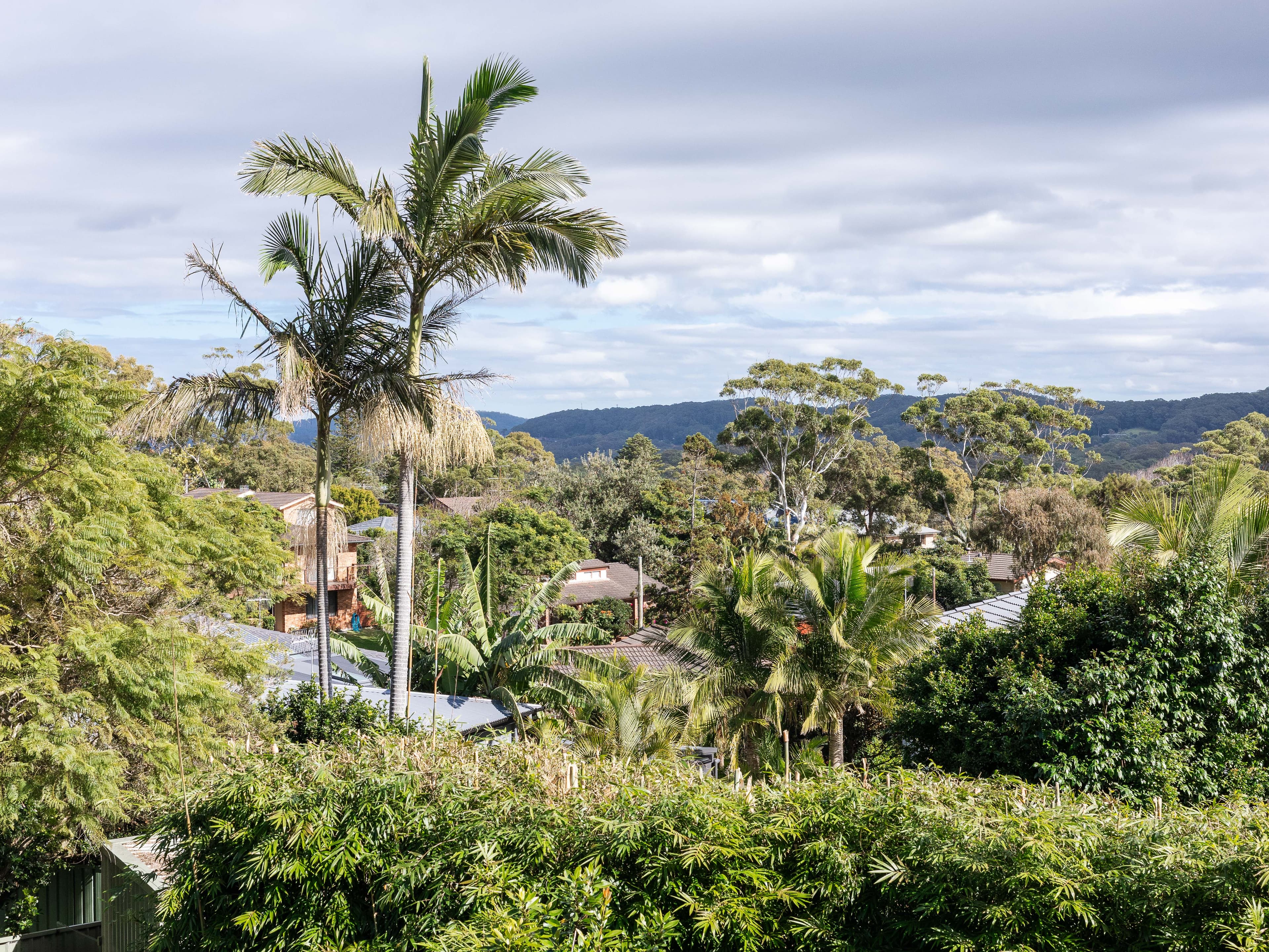 27 Rickard Street, Bateau Bay NSW 2261, Bateau Bay - Thumbnail 6