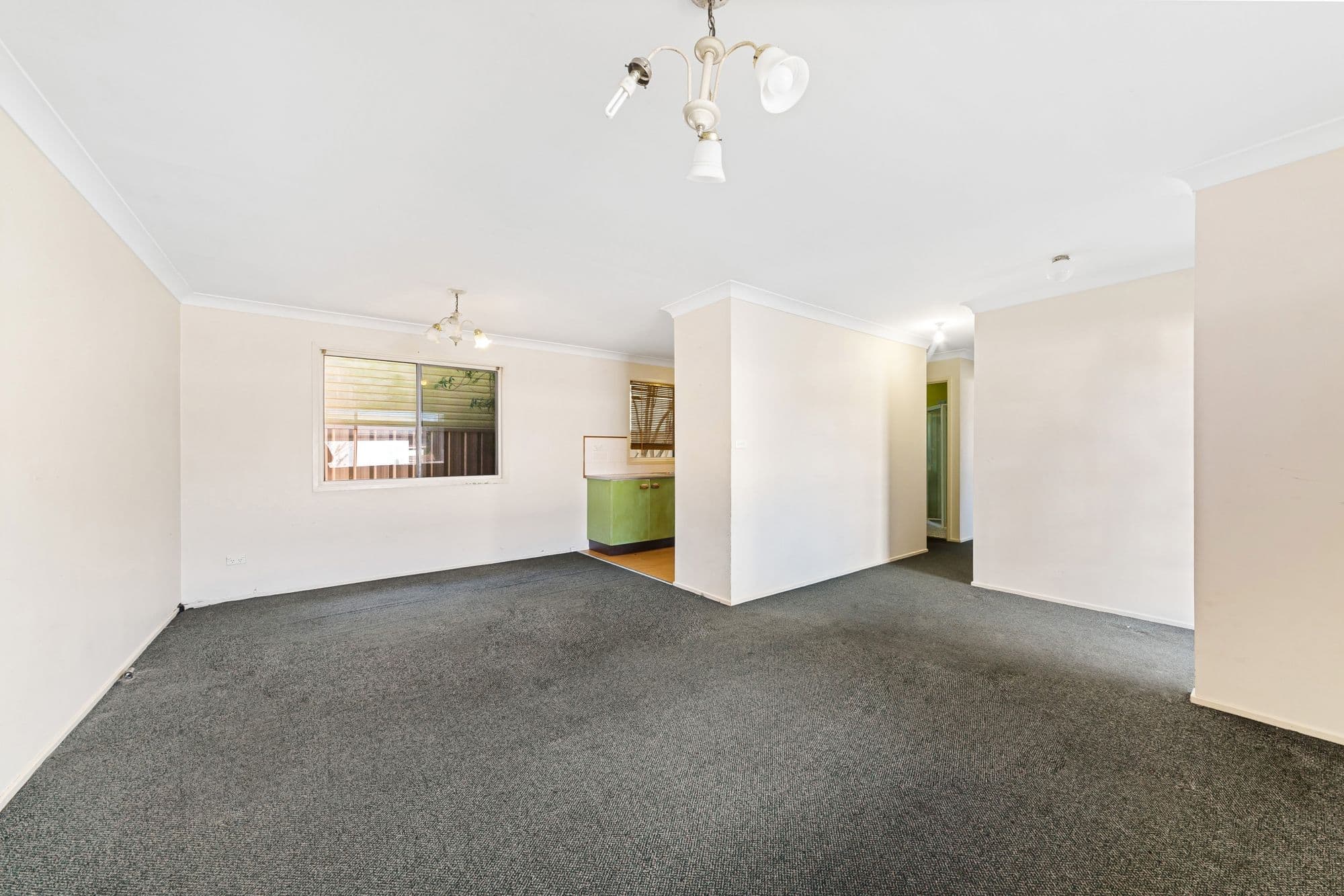 14 Laelana Avenue, Budgewoi NSW 2262, Budgewoi - Thumbnail 5