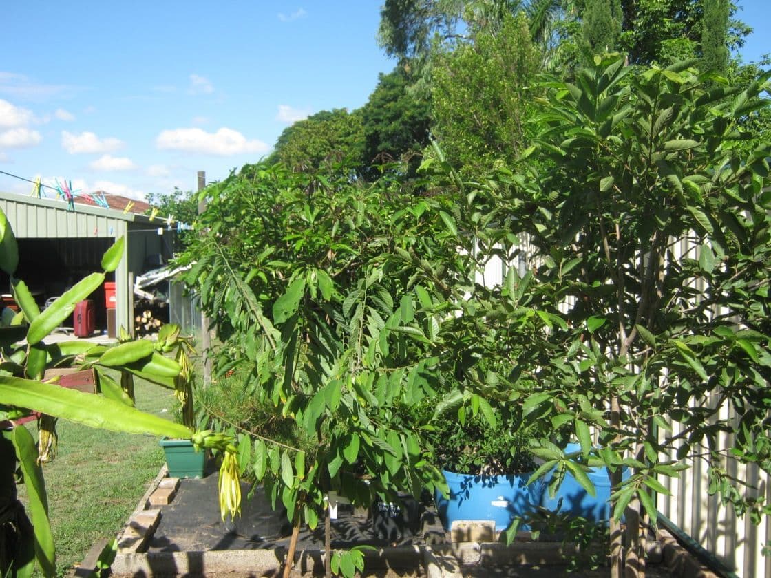 DURACK QLD 4077, Durack - Thumbnail 8