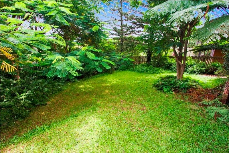 63 Laura Street, BANORA POINT NSW 2486, Banora Point - Thumbnail 6
