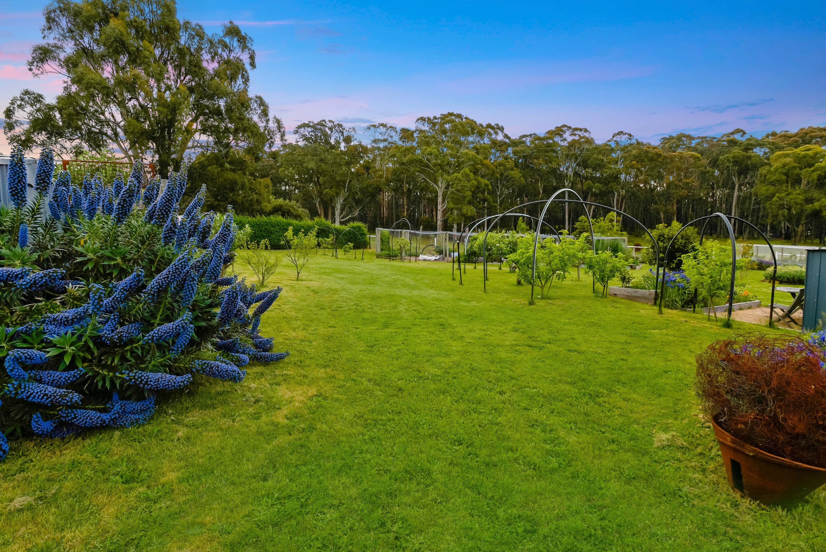 1379 Daylesford-Malmsbury Road, Denver VIC 3461, Denver - Thumbnail 5