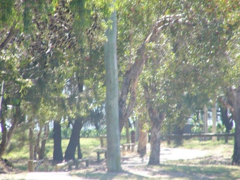 56 Palm View Drive, MOORE PARK BEACH QLD 4670, Moore Park Beach - Thumbnail 3
