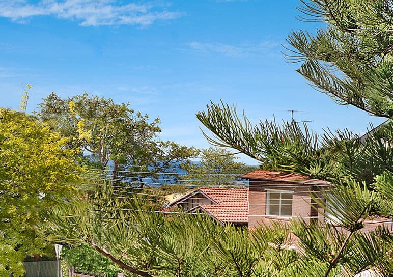 4 Macpherson Street, Waverley NSW 2024, Waverley - Thumbnail 3