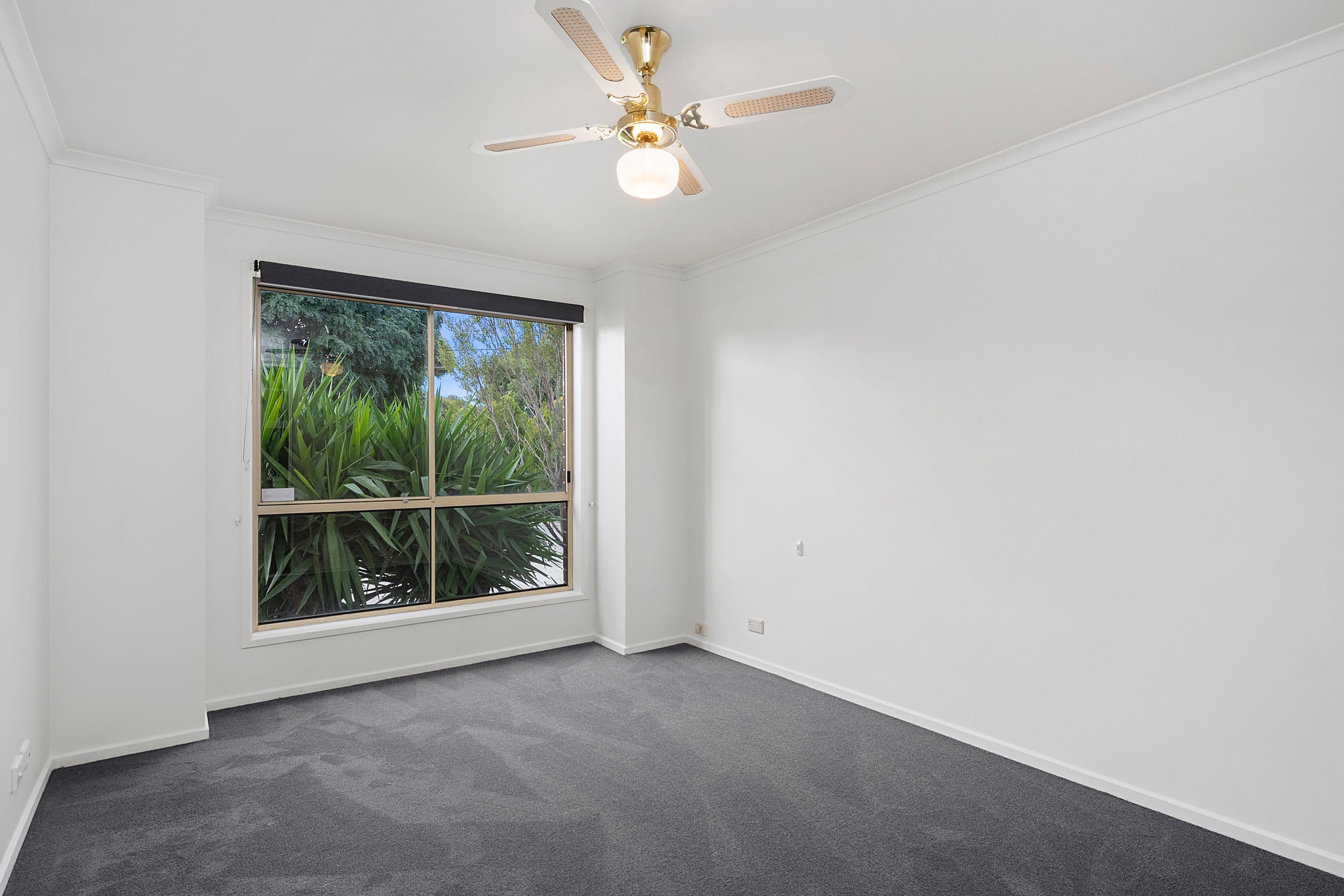 54 Vines Road, Hamlyn Heights VIC 3215, Hamlyn Heights - Thumbnail 6