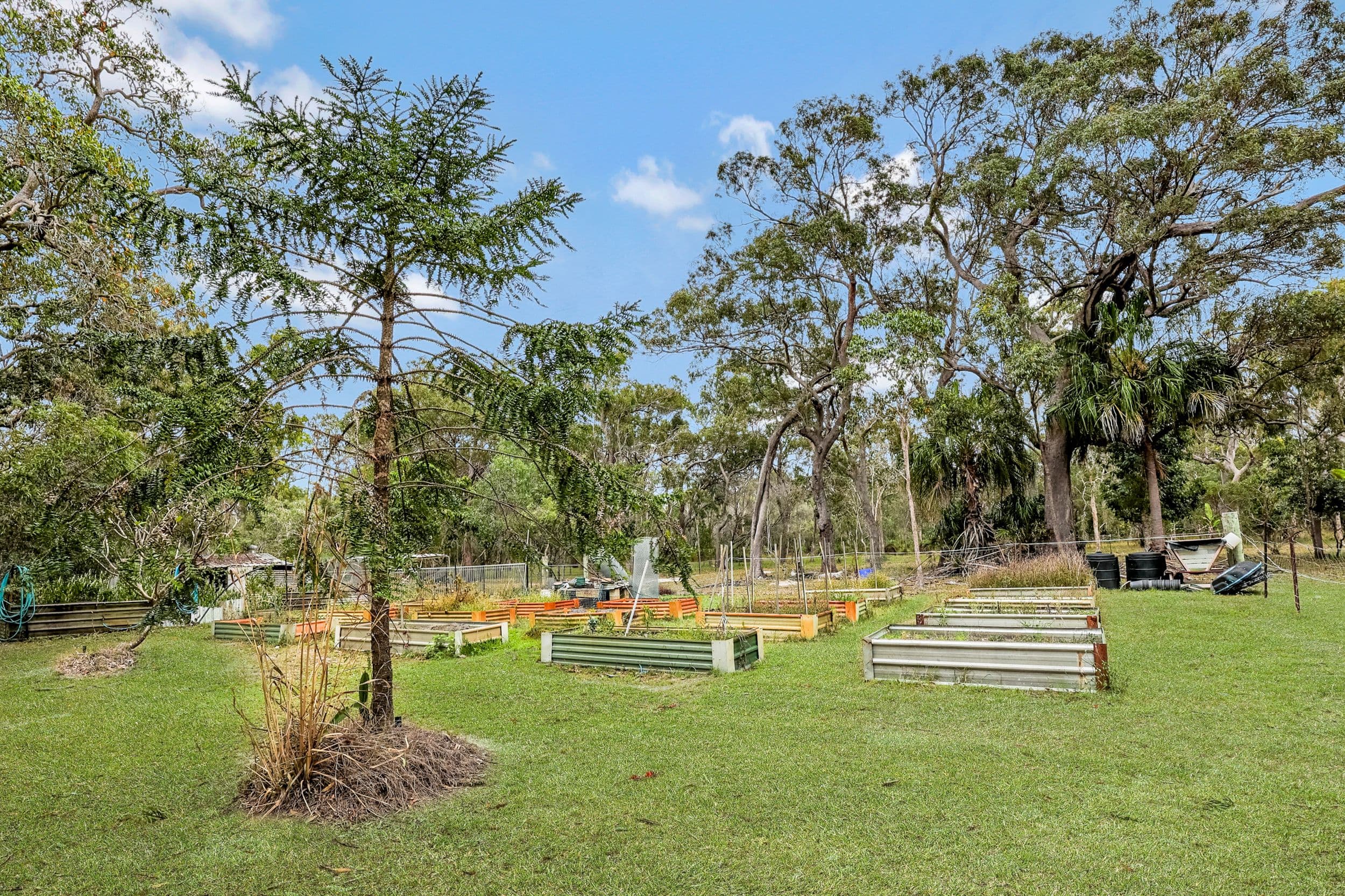 16 Jaenke Court, Agnes Water QLD 4677, Agnes Water - Thumbnail 5