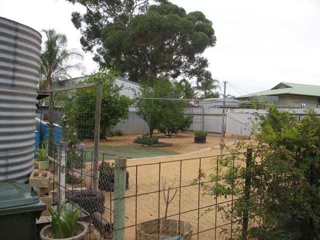9 Hague Street, BARMERA SA 5345, Barmera - Thumbnail 7