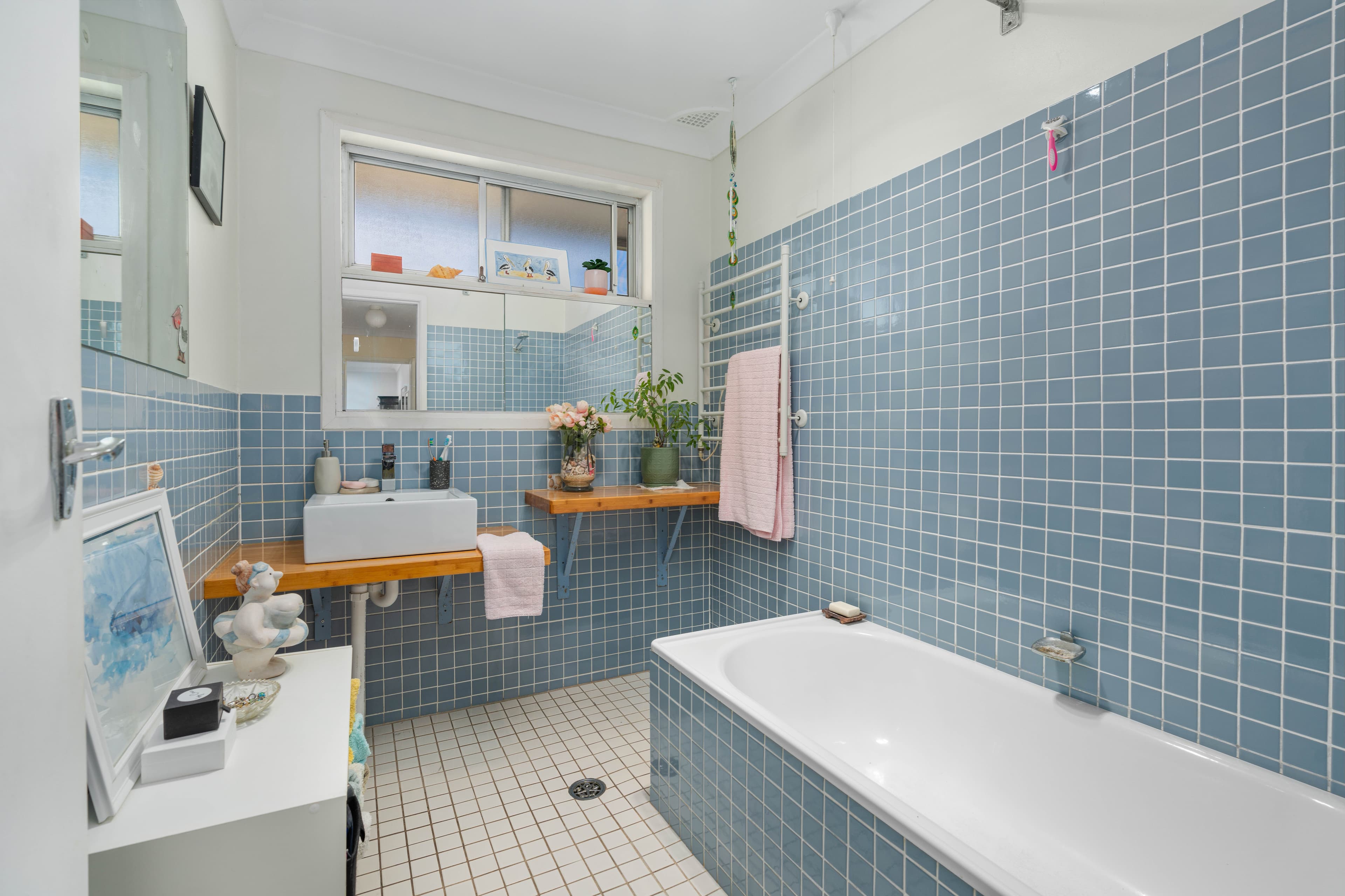 10 Page Avenue, North Nowra NSW 2541, North Nowra - Thumbnail 4