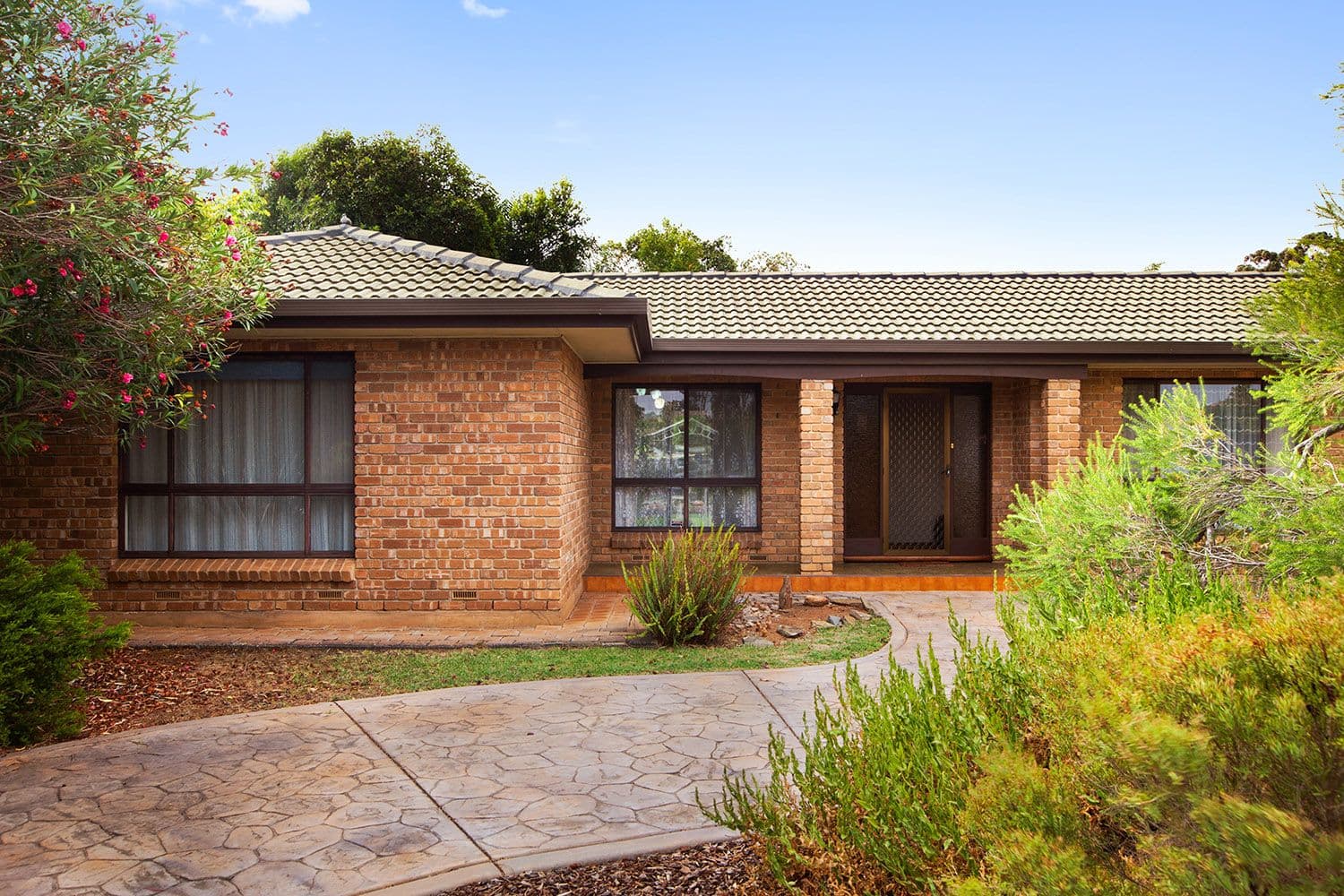 51 Oliphant Avenue, Marion SA 5043, Marion - Image 1
