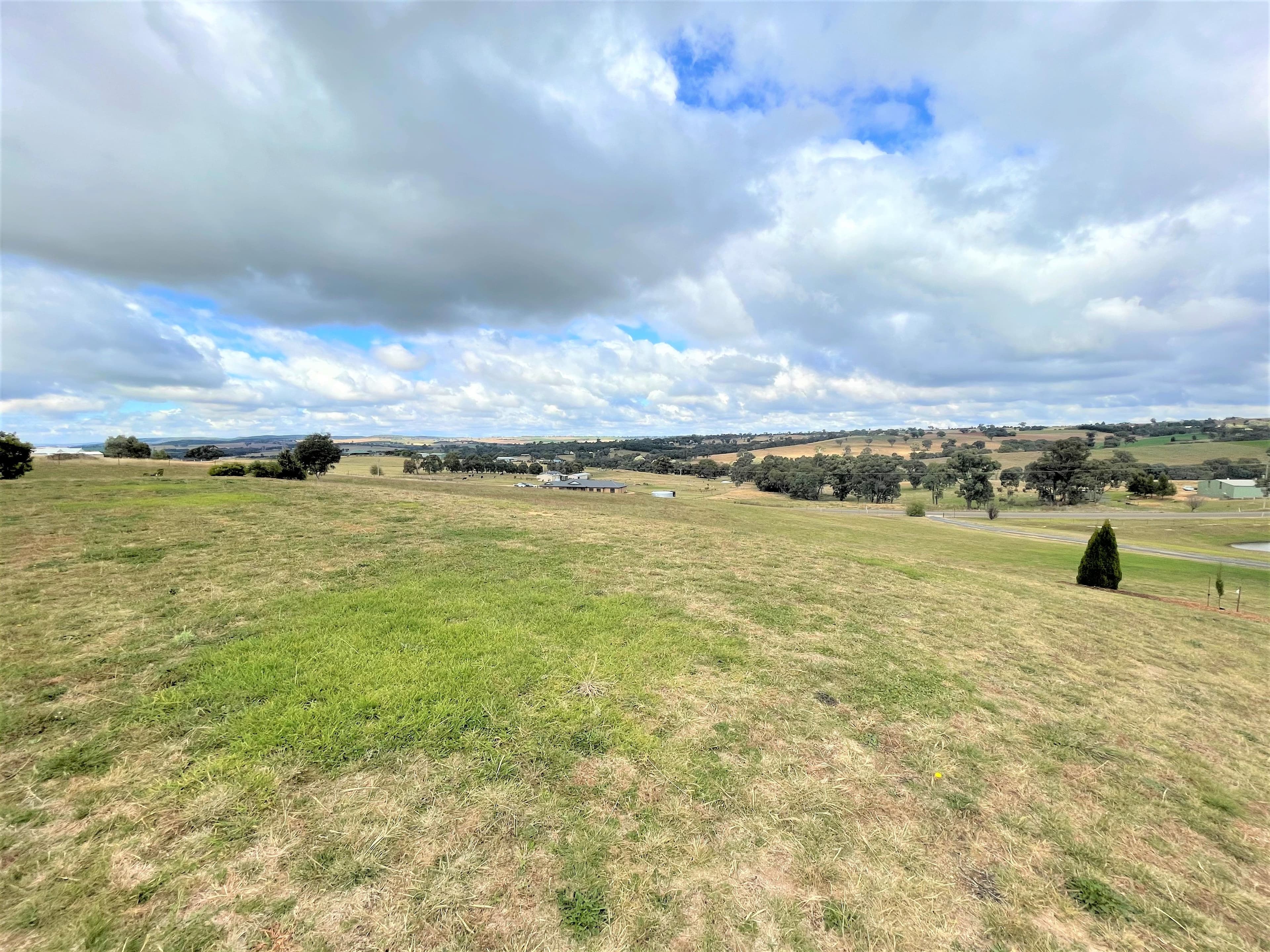 105 Donges Road, Young NSW 2594, Young - Thumbnail 3
