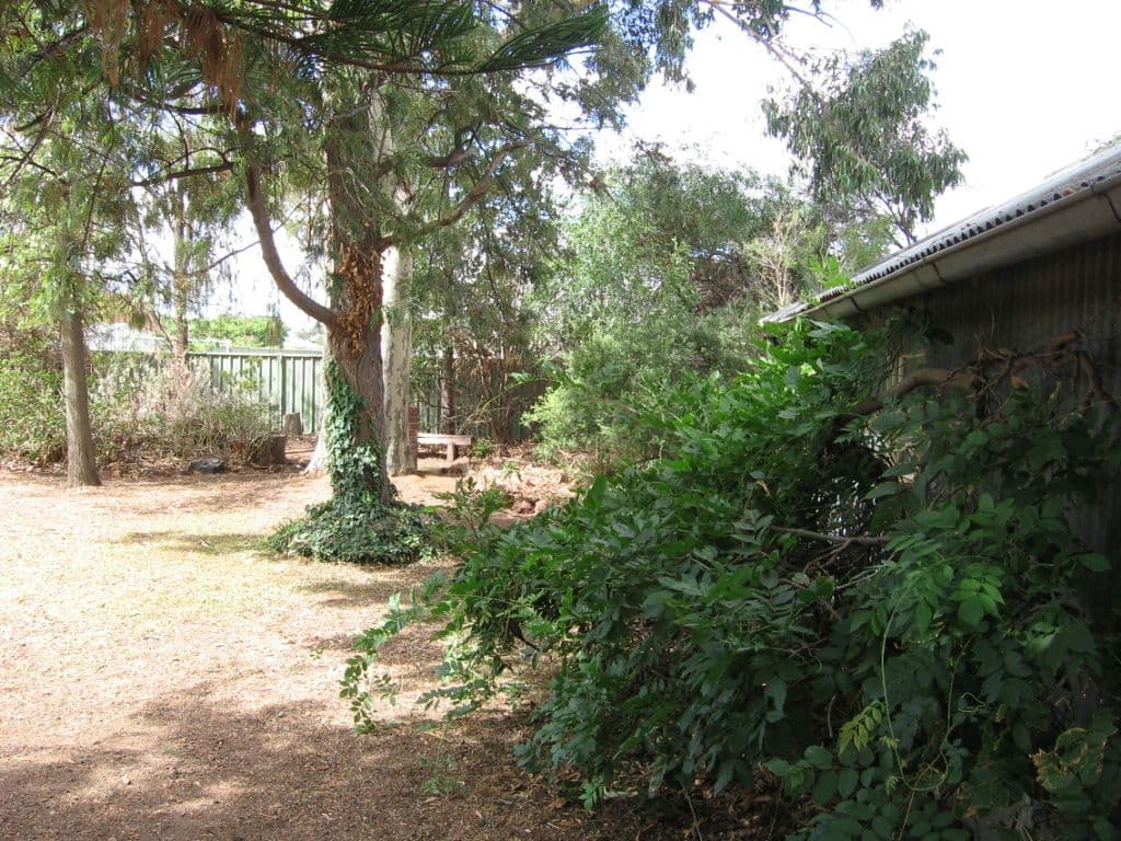 25 High Street, ROCHESTER VIC 3561, Rochester - Thumbnail 7