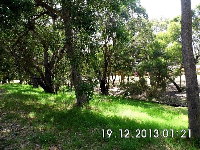 6 Bussell Place, BEECHBORO WA 6063, Beechboro - Thumbnail 8