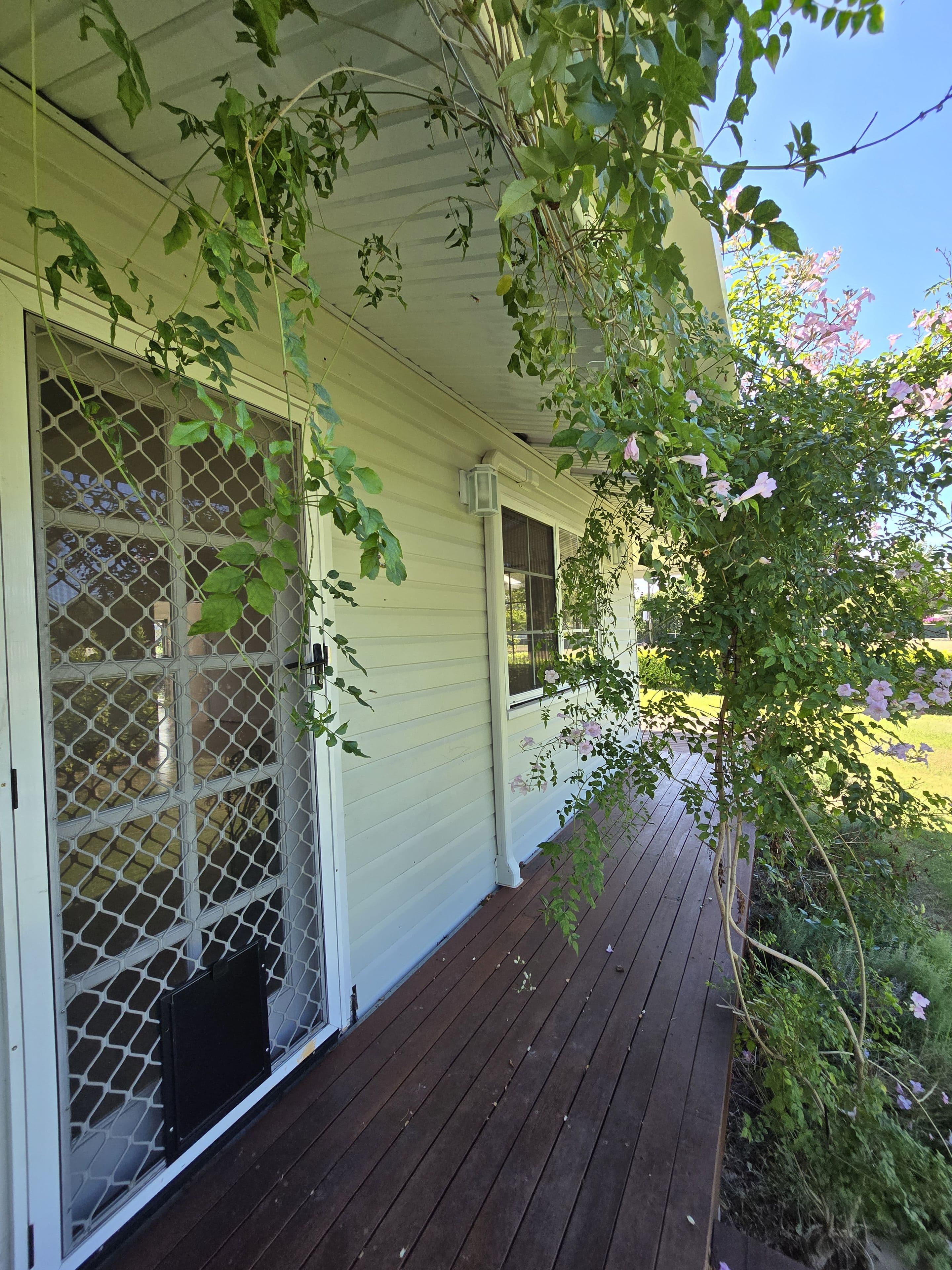 73 Opal Street, Emerald QLD 4720, Emerald - Thumbnail 5